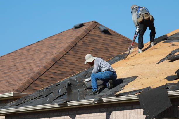 Best Skylight Installation and Repair  in Brittany Farms The Highlands, PA